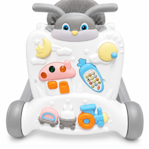 2 in 1 activity walker