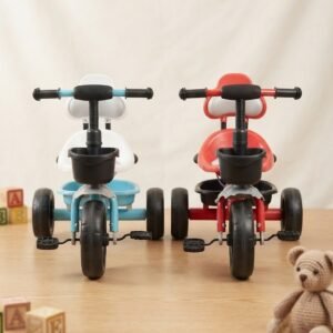 Sports tricycle